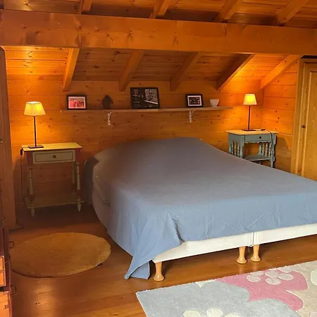 Chalet Du Villard Chalet